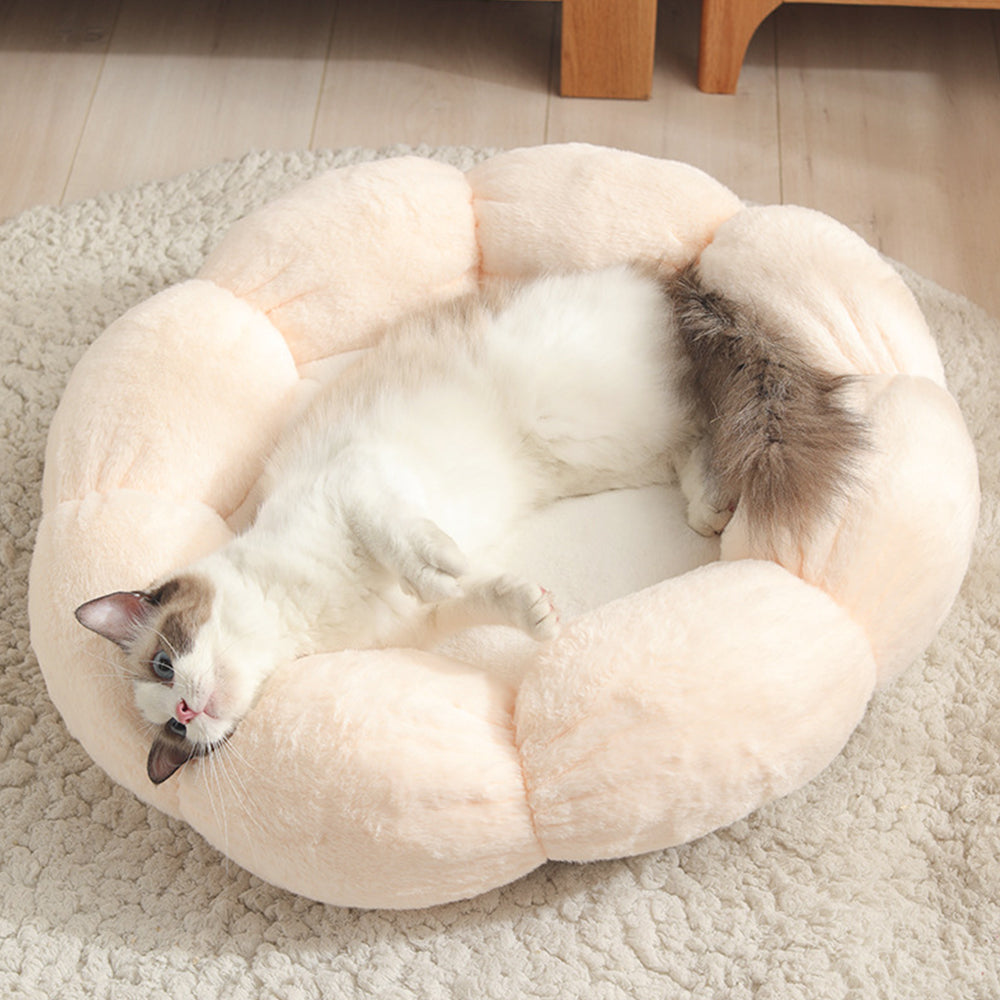 Pet Bed