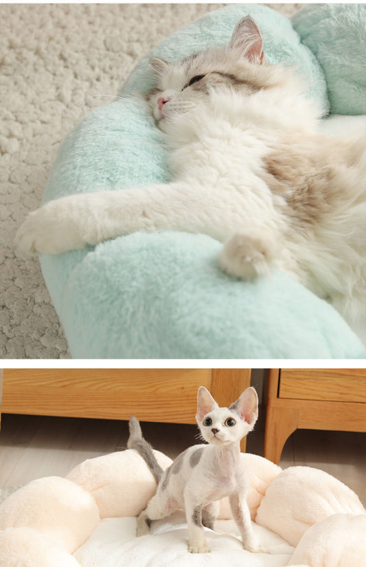 Pet Bed