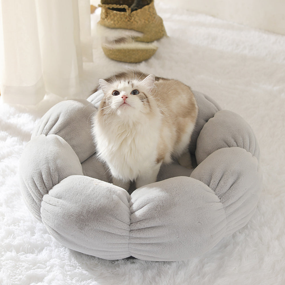 Pet Bed